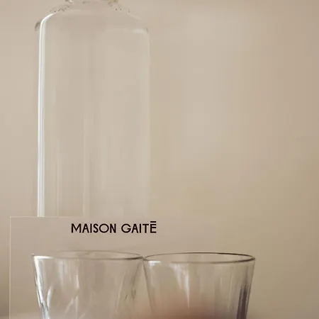 Hotel Maison Gaite Paris